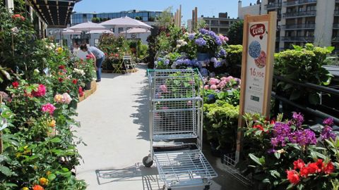 Portées par un climat très favorable, les jardineries ont réalisé un excellent premier trimestre 2019, selon la FNMJ. © FNMJ